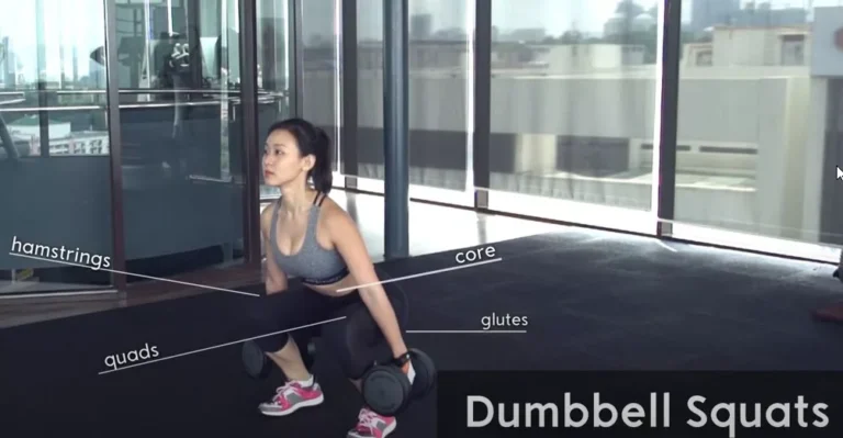 bài tập tạ cho nữ dumbbell squats