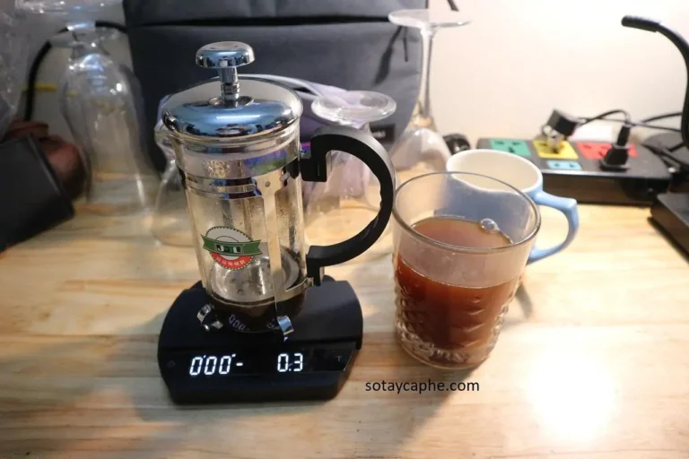 cách sử dụng bình pha french press