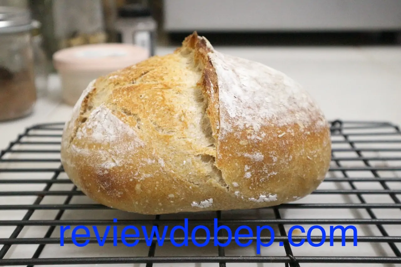 bánh mì sourdough dễ làm bánh mì sourdough dễ làm