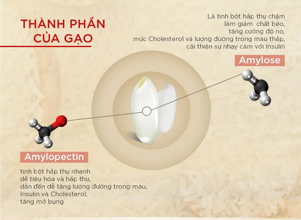 thành phần gạo